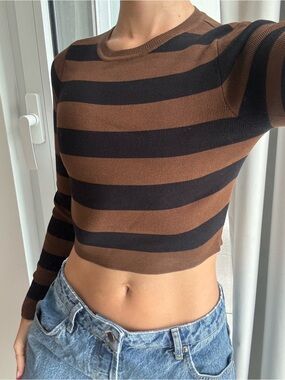 Zara Brown and Black Striped Cropped Long Sleeve Shirt